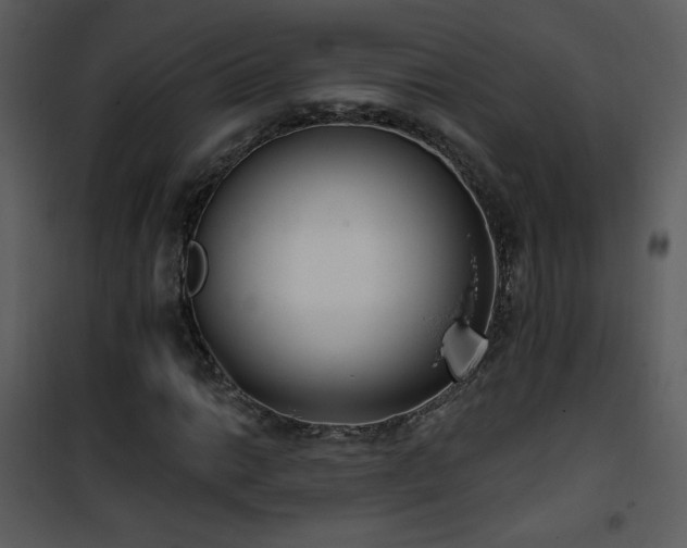 X0000102001014200807181200