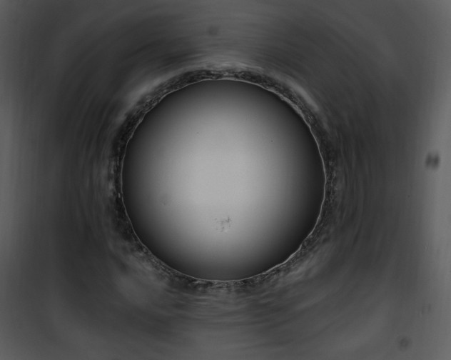 X0000102001016200807181200