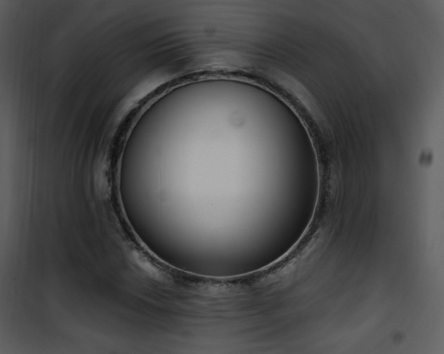 X0000102001018200807181200