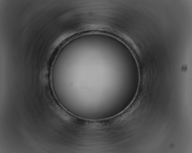 X0000102001019200807181200