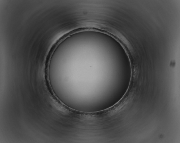 X0000102001020200807181200