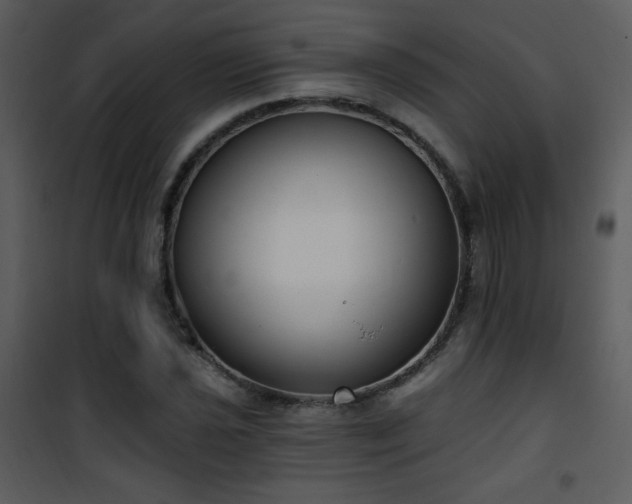 X0000102001021200807181200