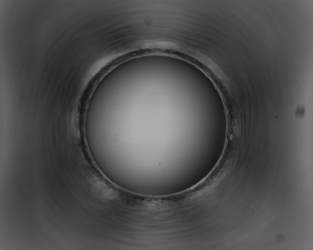 X0000102001022200807181200