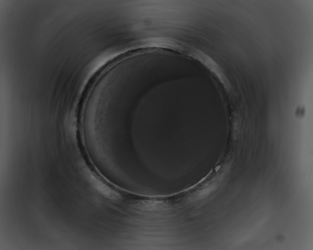 X0000102001024200807181200