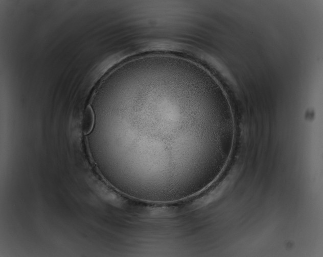 X0000102001025200807181200