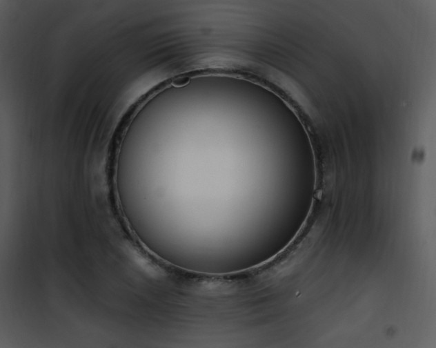 X0000102001026200807181200