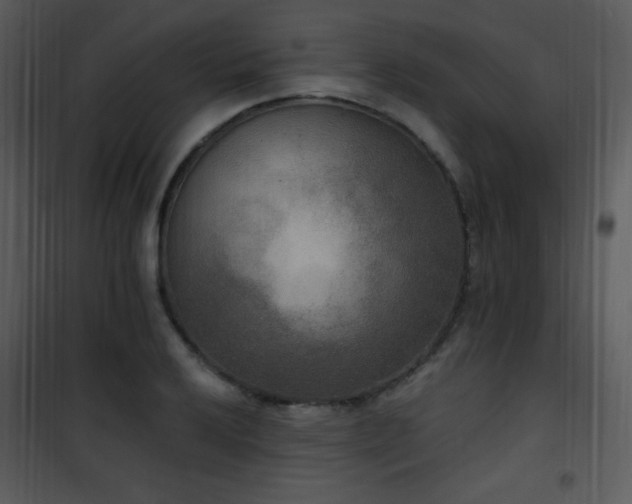 X0000102001032200807181200