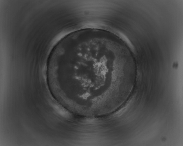 X0000102001035200807181200