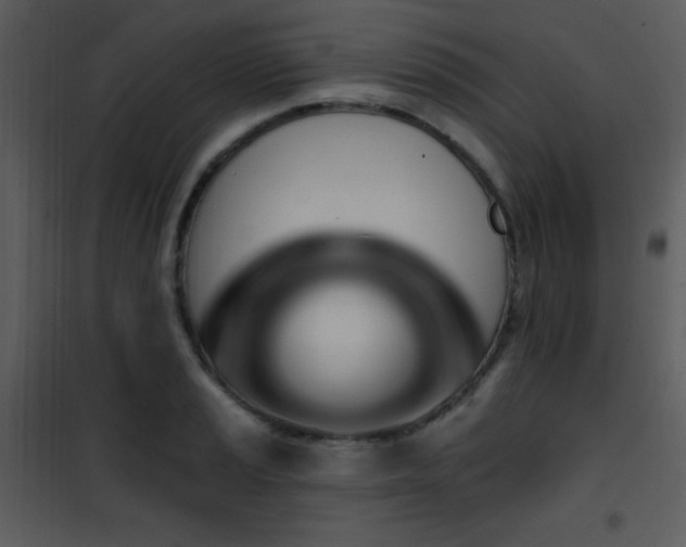 X0000102001037200807181200