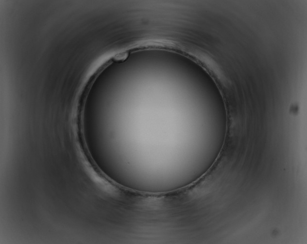 X0000102001038200807181200