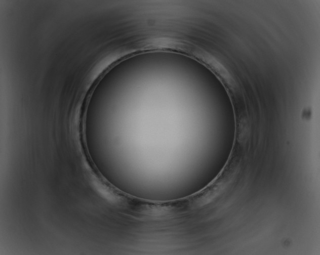 X0000102001039200807181200