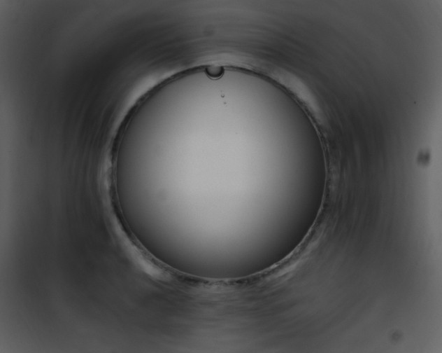 X0000102001040200807181200