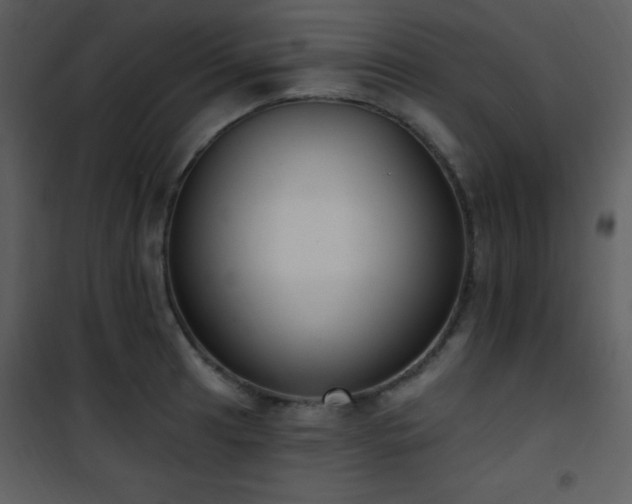 X0000102001041200807181200