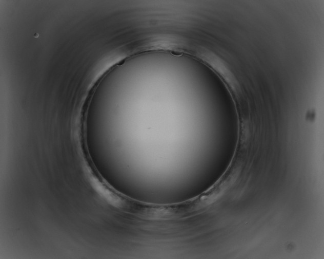 X0000102001042200807181200