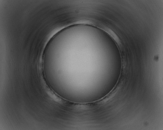 X0000102001044200807181200