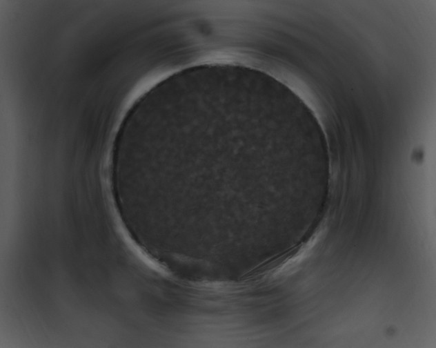 X0000102001045200807181200