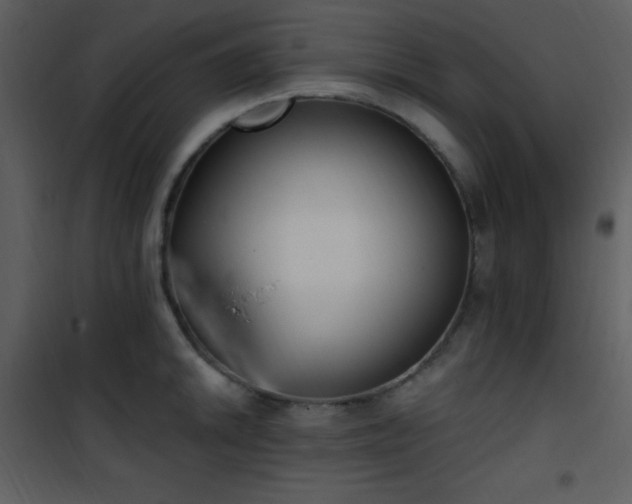 X0000102001046200807181200