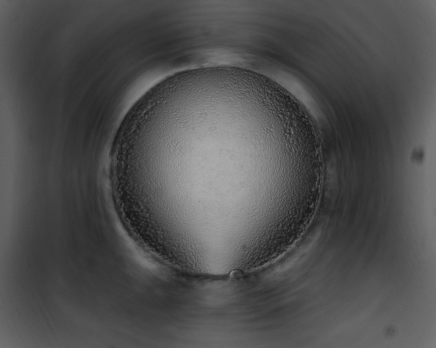 X0000102001047200807181200