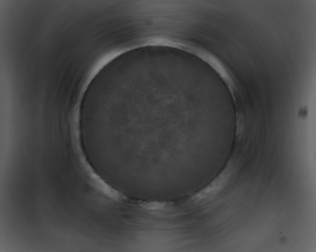 X0000102001048200807181200