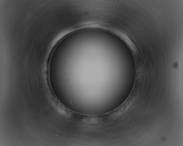 X0000102001051200807181200