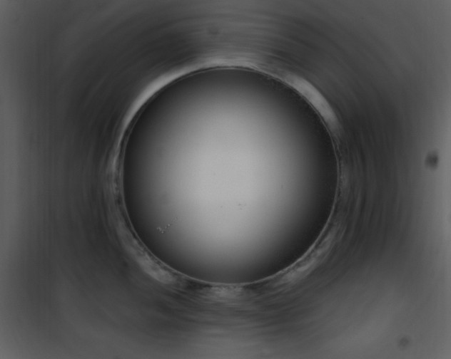 X0000102001052200807181200