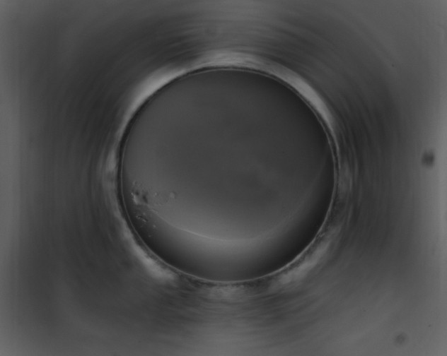 X0000102001053200807181200