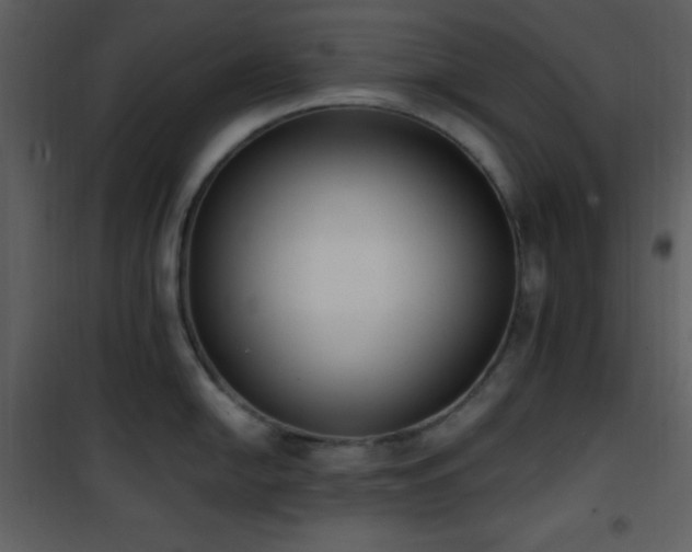 X0000102001054200807181200