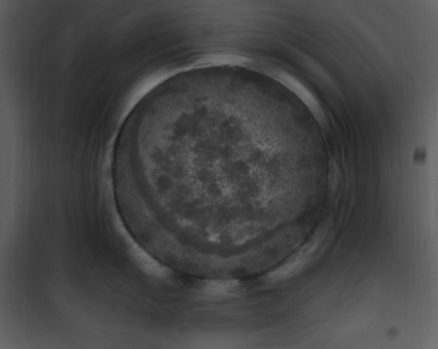 X0000102001055200807181200