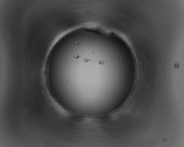 X0000102001056200807181200