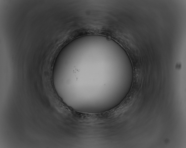 X0000102001057200807181159