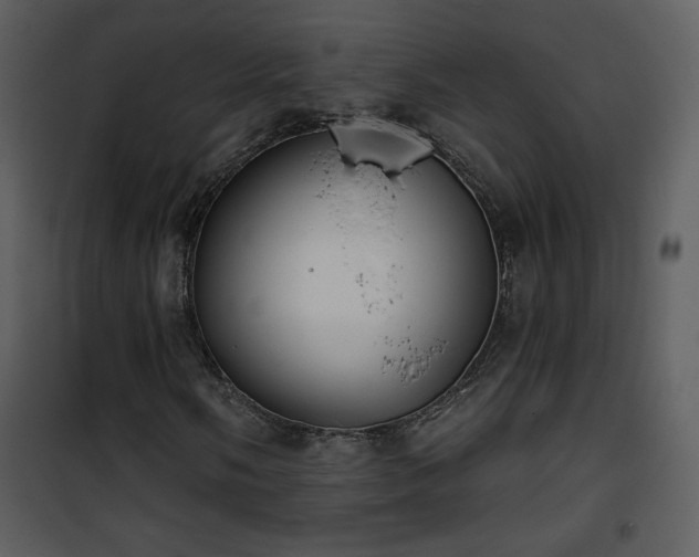 X0000102001058200807181159