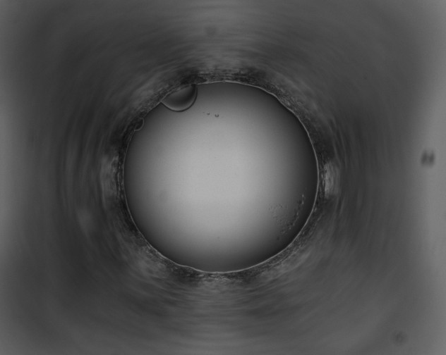 X0000102001059200807181159