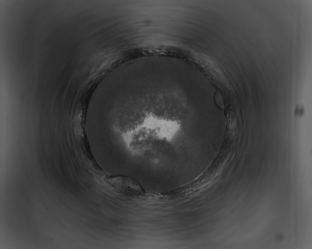 X0000102001060200807181159