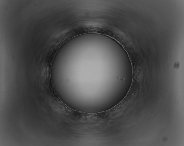 X0000102001061200807181159