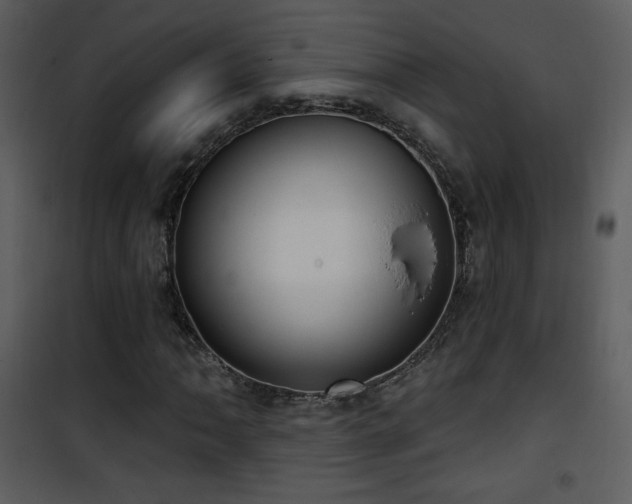 X0000102001062200807181159