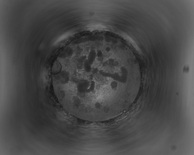 X0000102001063200807181159