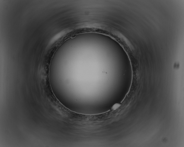 X0000102001064200807181159