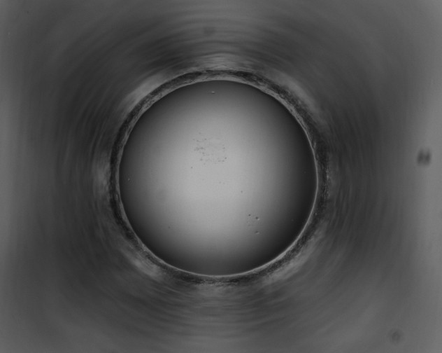 X0000102001065200807181159