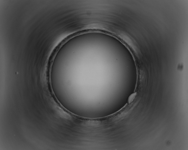 X0000102001068200807181159