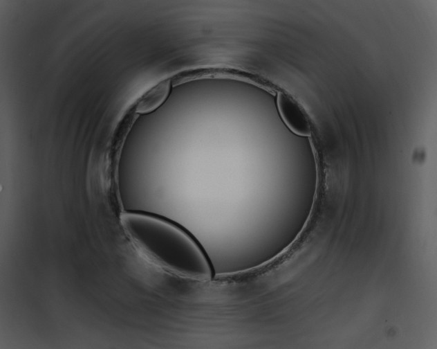 X0000102001069200807181159