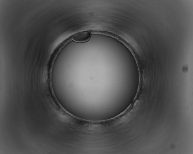 X0000102001070200807181159