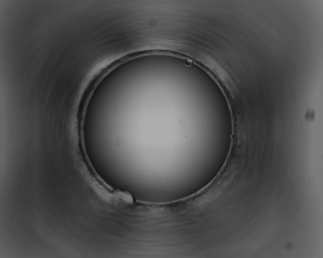 X0000102001072200807181159