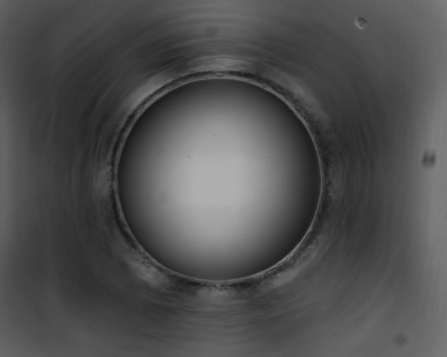 X0000102001073200807181159