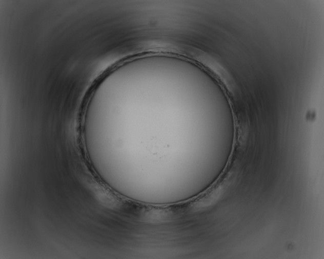 X0000102001074200807181159