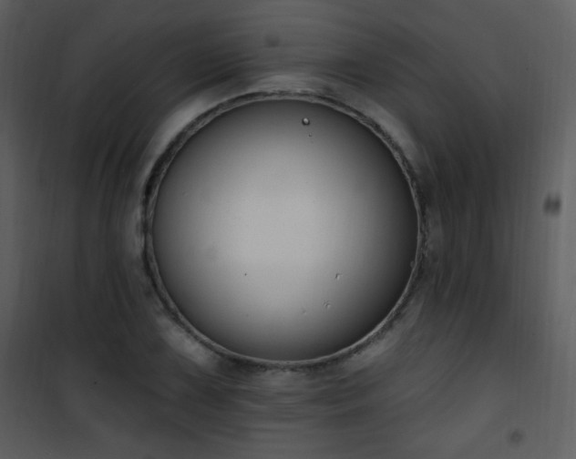 X0000102001075200807181159