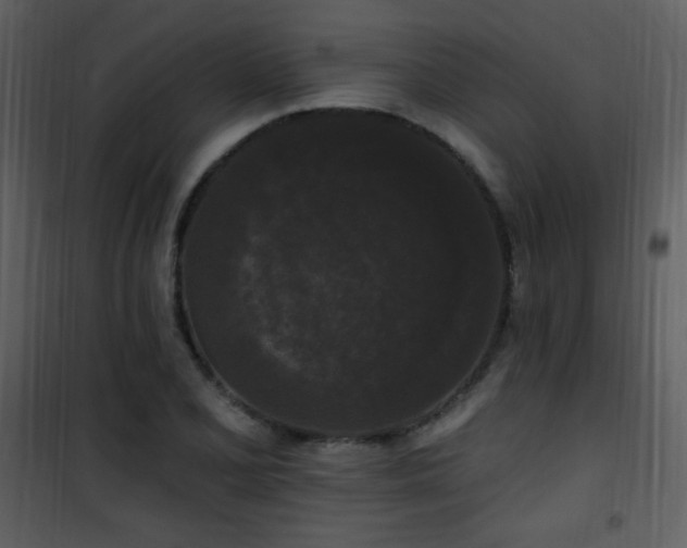 X0000102001077200807181159