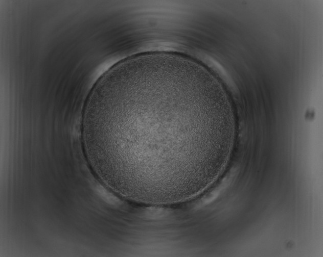 X0000102001081200807181159