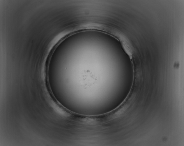 X0000102001082200807181159