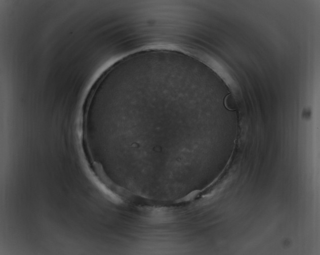 X0000102001084200807181159