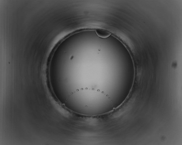 X0000102001085200807181159